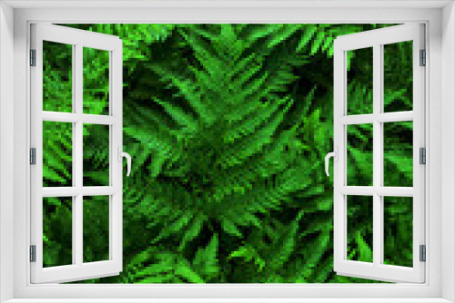 Fototapeta Naklejka Na Ścianę Okno 3D - Natural background of green grass texture of green leaves, dark-toned wallpaper, rainforest ecology concept