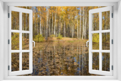 Fototapeta Naklejka Na Ścianę Okno 3D - Autumn in a birch grove.