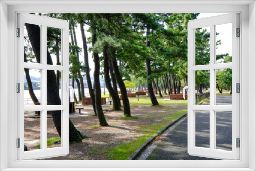Fototapeta Naklejka Na Ścianę Okno 3D - 神奈川県横浜市の野島公園