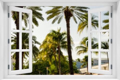 Fototapeta Naklejka Na Ścianę Okno 3D - Scene at Lincoln Road Miami Beach. Long exposure to blur passing tourists and palm fronds