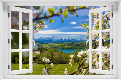 Fototapeta Naklejka Na Ścianę Okno 3D - Jezioro Czorsztyńskie i Tatry zza kwitnących drzew.