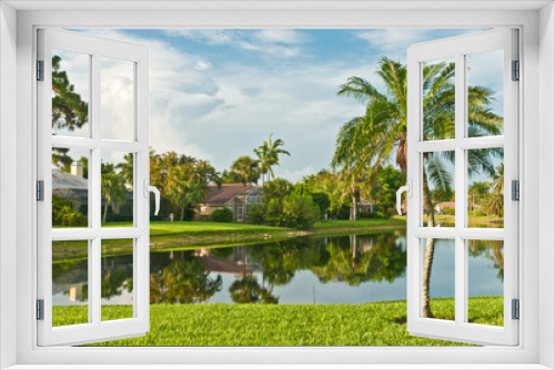 Fototapeta Naklejka Na Ścianę Okno 3D - front view, medium distance of young palm tree in a sloping, grassy, shoreline of a tropical lake, in early morning light