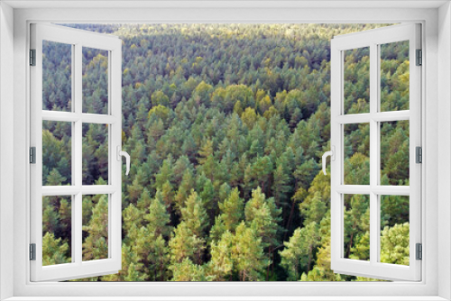 Fototapeta Naklejka Na Ścianę Okno 3D - Top view of beautiful green coniferous forest with fir trees and pines