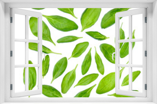 Fototapeta Naklejka Na Ścianę Okno 3D - Set of spinach leaves