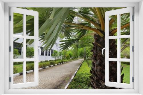 Fototapeta Naklejka Na Ścianę Okno 3D - palm trees in the park