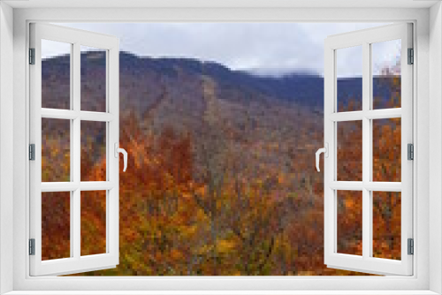 Fototapeta Naklejka Na Ścianę Okno 3D - Foliage Foggy Mountains