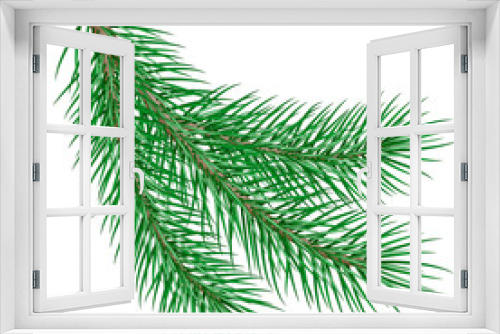 Fototapeta Naklejka Na Ścianę Okno 3D - fir branch