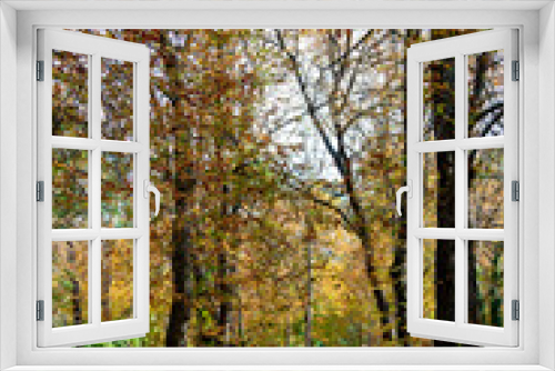 Fototapeta Naklejka Na Ścianę Okno 3D - Autumn landscape with orange, brown and yellow colors in the branches of the trees and by the path full of leaves in Parque del Retiro in Madrid, in Spain. Europe. Vertical photography.