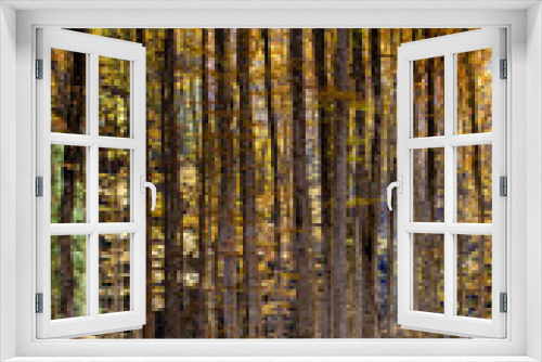 Fototapeta Naklejka Na Ścianę Okno 3D - landscape in an autumn beech forest