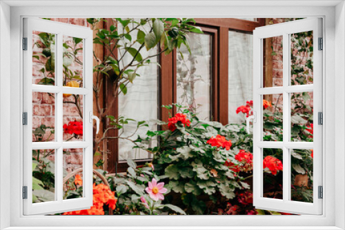 Fototapeta Naklejka Na Ścianę Okno 3D - rural rustic red brick house covered with flowers on flowerbed and plants, concept of cozy country simple life
