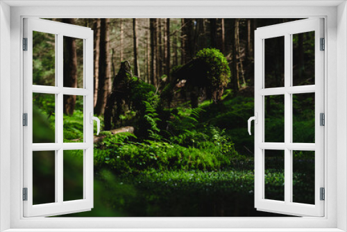 Fototapeta Naklejka Na Ścianę Okno 3D - green forest in the morning