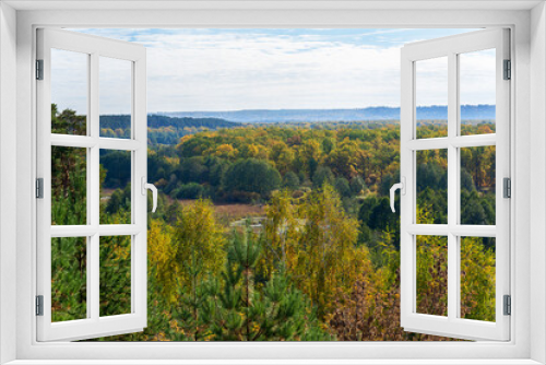 Fototapeta Naklejka Na Ścianę Okno 3D - Autumn yellow forest on a clear day