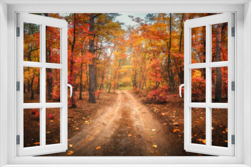 Fototapeta Naklejka Na Ścianę Okno 3D - Dirt road in autumn forest in fog. Red foggy forest with trail. Colorful landscape with beautiful enchanted trees with orange and red leaves in fall. Mystical woods in october. Woodland. Nature