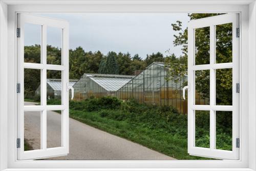 Fototapeta Naklejka Na Ścianę Okno 3D - three greenhouses with plants in autumn
