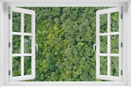Fototapeta Naklejka Na Ścianę Okno 3D - Overhead drone shot of green forest