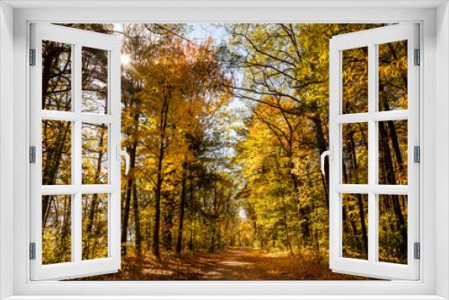 Fototapeta Naklejka Na Ścianę Okno 3D - Spectacular, colorful autumn landscape in Oka National Park, Quebec, Canada
