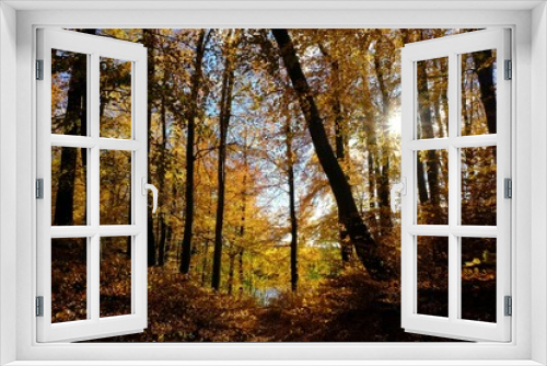 Fototapeta Naklejka Na Ścianę Okno 3D - Beautiful golden forest in sunny autumn day - Golden Polish Autumn