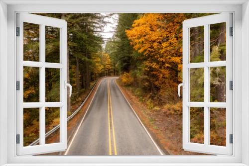 Fototapeta Naklejka Na Ścianę Okno 3D - Roadway Leading to a Colorful Fall Forest. Fir and maple trees line the road in the autumnal season along the Mt. Baker Highway in the Pacific Northwest.