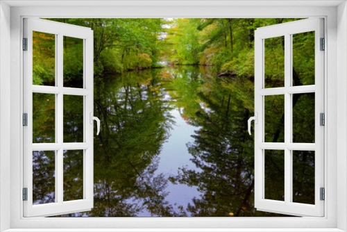 Fototapeta Naklejka Na Ścianę Okno 3D - green forest reflection