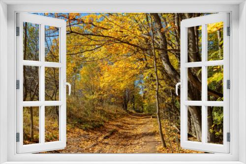 Fototapeta Naklejka Na Ścianę Okno 3D - Fall Colors of Mono Cliffs Provincial Park in Ontario showing Autumn forest with yellow green foliage on the trees and brown on the pathway