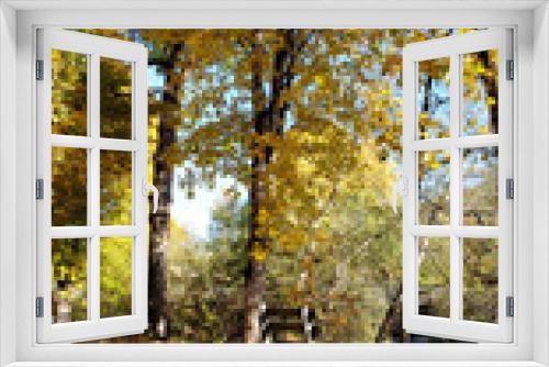 Fototapeta Naklejka Na Ścianę Okno 3D - Herbstlandschaft mit Wildenten