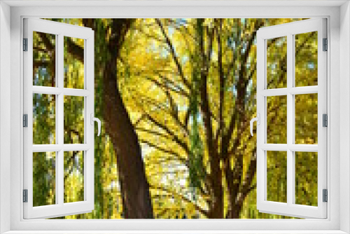 Fototapeta Naklejka Na Ścianę Okno 3D - Alley of trees in autumn
