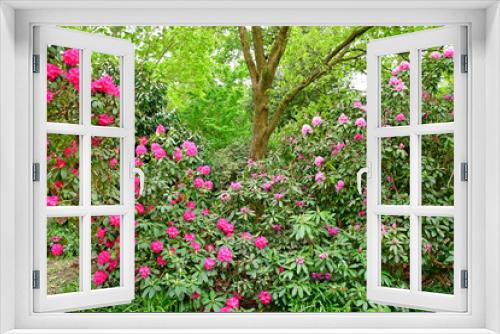 Fototapeta Naklejka Na Ścianę Okno 3D - London; Kew, England - may 5 2019 : the Kew Gardens