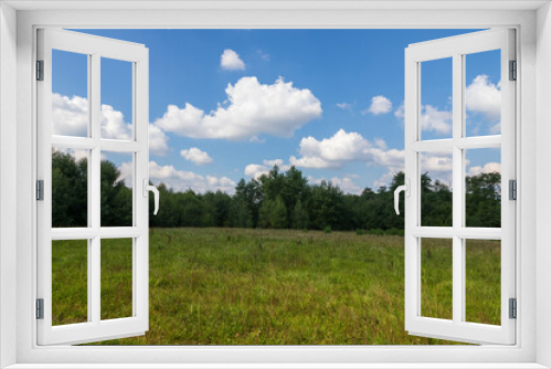 Fototapeta Naklejka Na Ścianę Okno 3D - Green meadow near the forest, In the background is a blue sky with white clouds