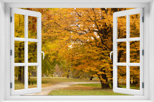 Fototapeta Naklejka Na Ścianę Okno 3D - Yellow autumn trees in  the park.