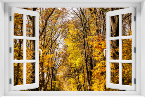 Fototapeta Naklejka Na Ścianę Okno 3D - Beautiful colorful warm autumn landscape