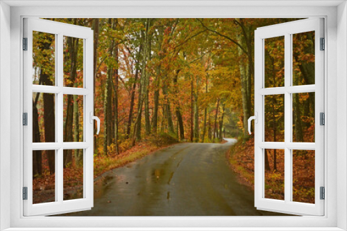 Fototapeta Naklejka Na Ścianę Okno 3D - Winding autumn road on a rainy day