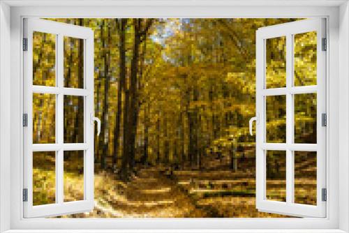 Fototapeta Naklejka Na Ścianę Okno 3D - Road through beautiful sunny colorful autumn forest under blue sky