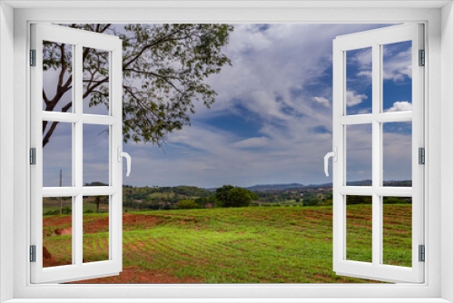 Fototapeta Naklejka Na Ścianę Okno 3D - Landscape seen from a road in Goiás. GO-070