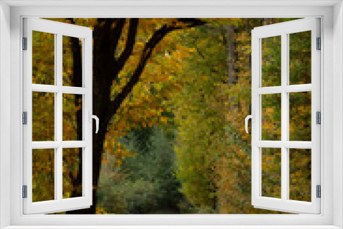 Fototapeta Naklejka Na Ścianę Okno 3D - Forest road between trees with yellow leaves. Autumn season concept.