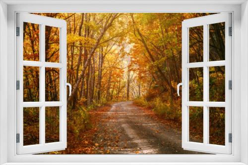 Fototapeta Naklejka Na Ścianę Okno 3D - Road in autumn forest. Nature composition.