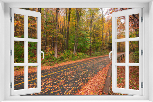 Fototapeta Naklejka Na Ścianę Okno 3D - autumn colors in forest through countryside road