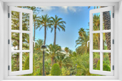 Fototapeta Naklejka Na Ścianę Okno 3D - Palmeral of Elche, Spain, HDR Image
