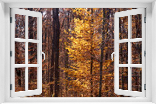 Fototapeta Naklejka Na Ścianę Okno 3D - Autumn forest nature. Colorful forest with sun rays through branches of trees.