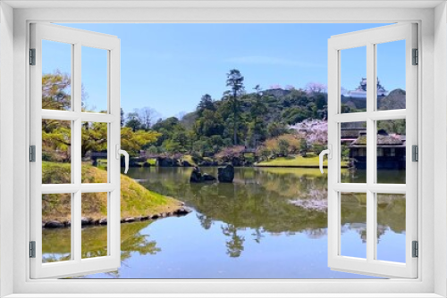 Fototapeta Naklejka Na Ścianę Okno 3D - 日本の国宝・彦根城の日本庭園　桜花の「玄宮園」から天守閣を眺める