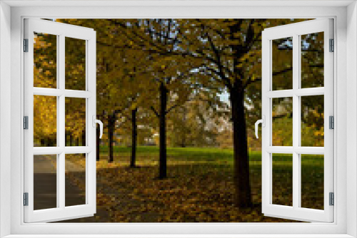 Fototapeta Naklejka Na Ścianę Okno 3D - Droga przez park w sezonie jesiennym