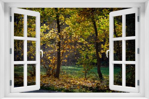 Fototapeta Naklejka Na Ścianę Okno 3D - golden autumn in the park of Moscow