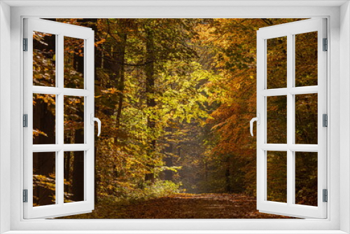 Fototapeta Naklejka Na Ścianę Okno 3D - Herbstgold