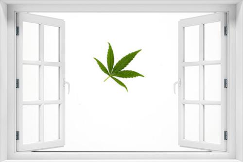 Fototapeta Naklejka Na Ścianę Okno 3D - Green Cannabis leaf isolated on white background. Hemp leaf as symbol for medical cannabis. Weed in flat lay