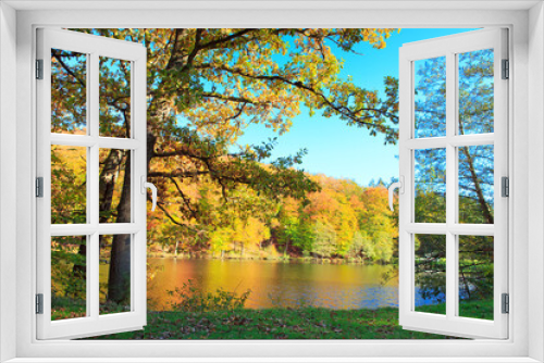 Fototapeta Naklejka Na Ścianę Okno 3D - Autumn background with reflection colorful trees in the forest lake.