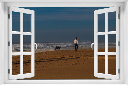 Fototapeta Naklejka Na Ścianę Okno 3D - Woman walking dog on the beach