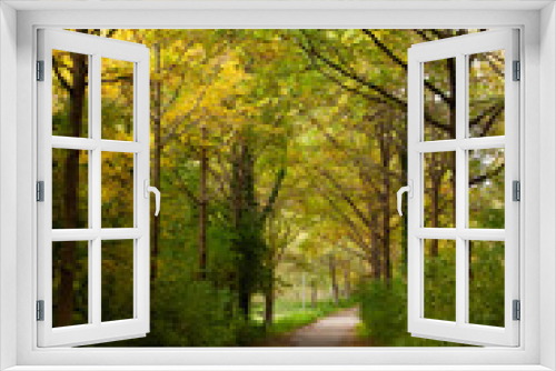Fototapeta Naklejka Na Ścianę Okno 3D - Herbstweg 1