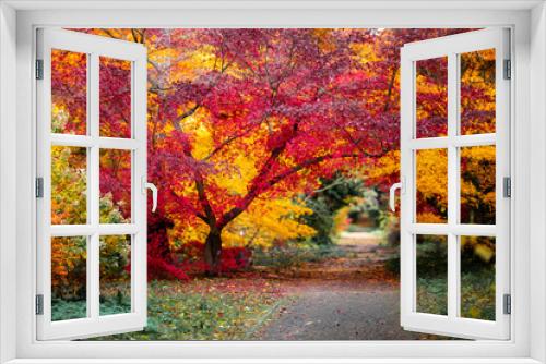 Fototapeta Naklejka Na Ścianę Okno 3D - jesień
