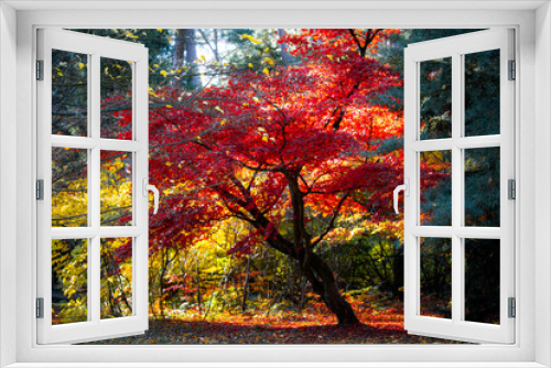Fototapeta Naklejka Na Ścianę Okno 3D - jesień
