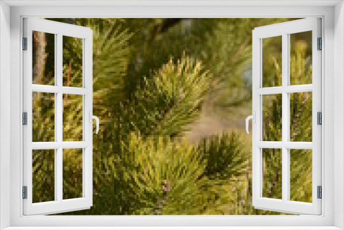 Fototapeta Naklejka Na Ścianę Okno 3D - 
nature 
