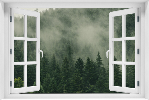 Fototapeta Naklejka Na Ścianę Okno 3D - Mystically Fog on Forest